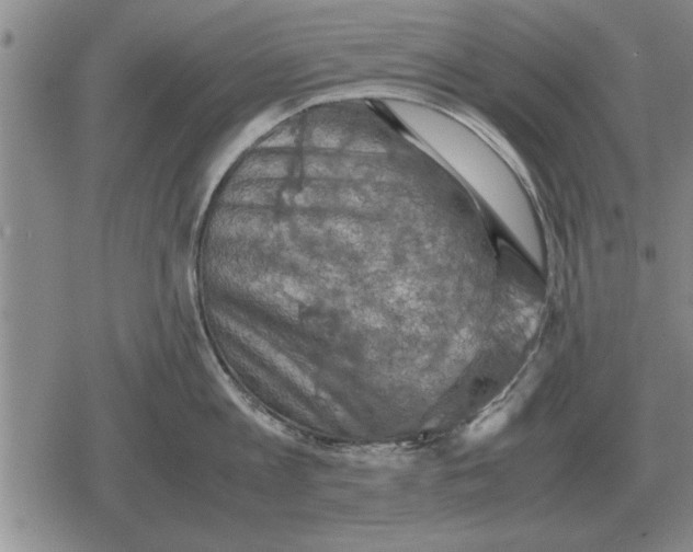 X0000079280813200612081751