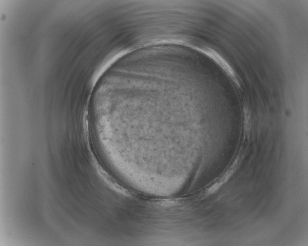 X0000079280814200612081751