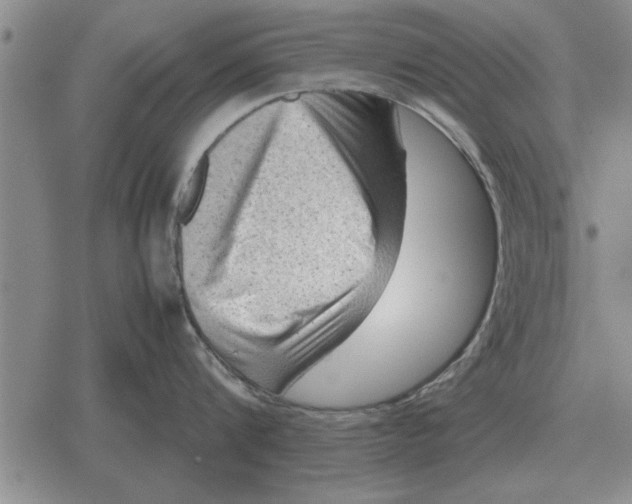 X0000079280816200612081751