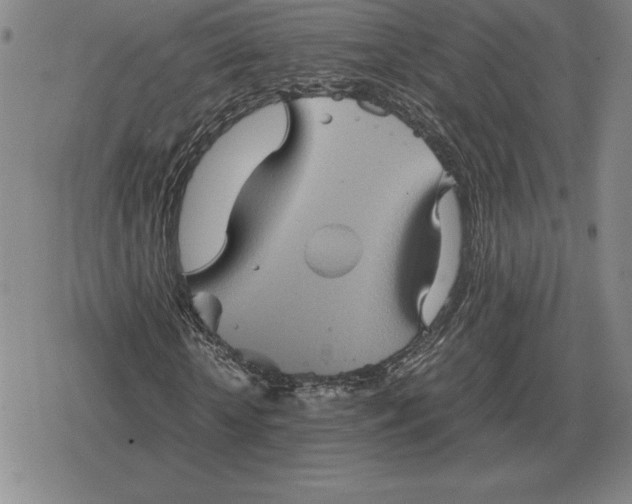 X0000079280818200612081751