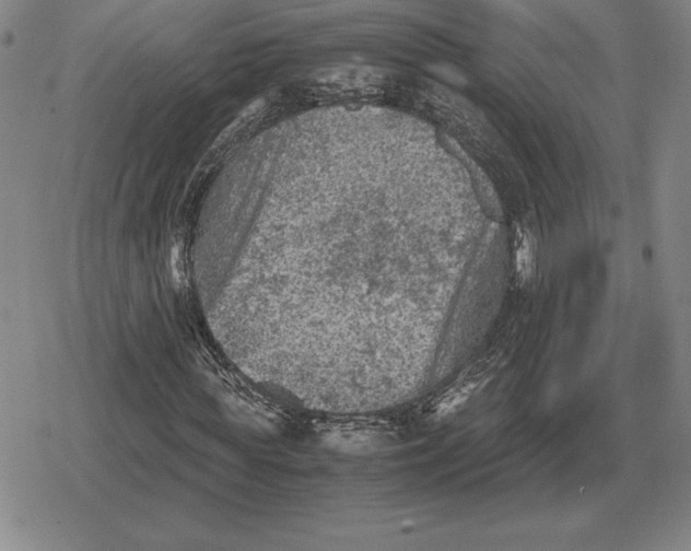 X0000079280819200612081751