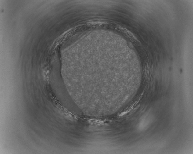 X0000079280821200612081751