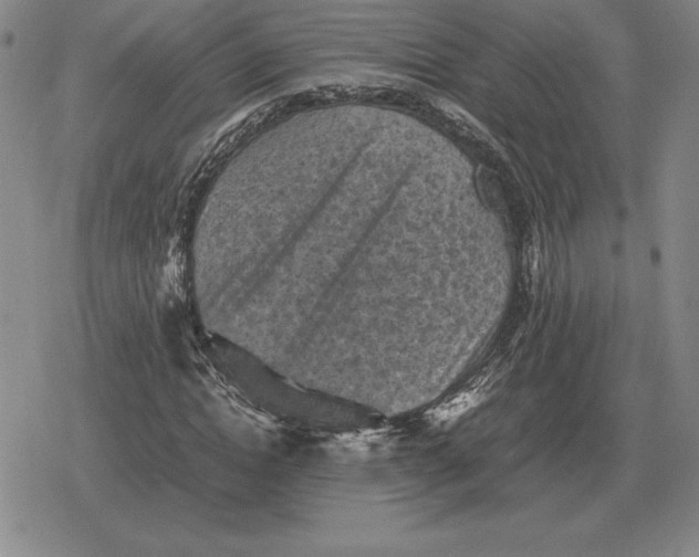 X0000079280822200612081751