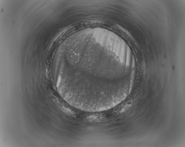 X0000079280823200612081751