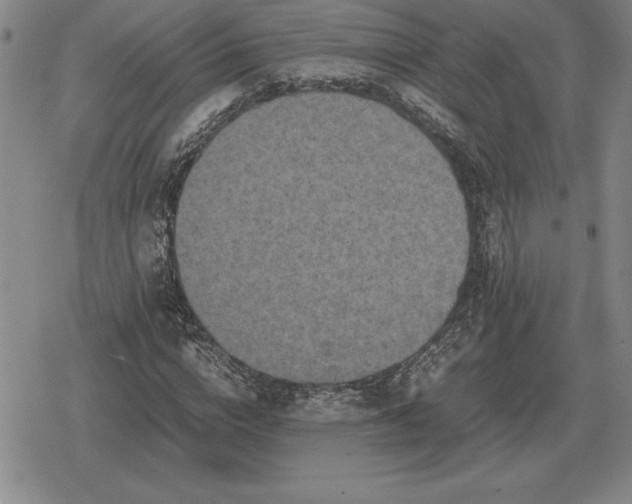 X0000079280824200612081751