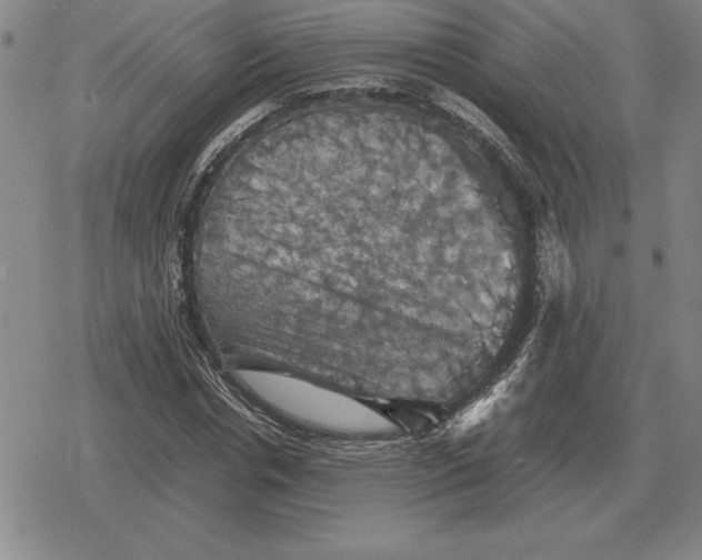 X0000079280826200612081751