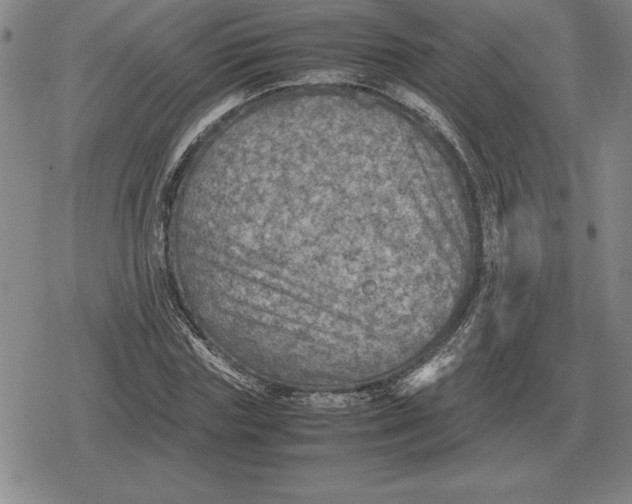 X0000079280827200612081751