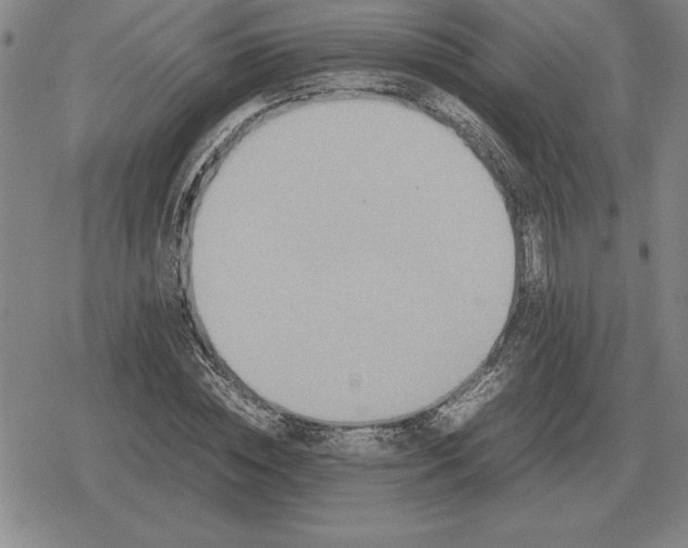 X0000079280828200612081751