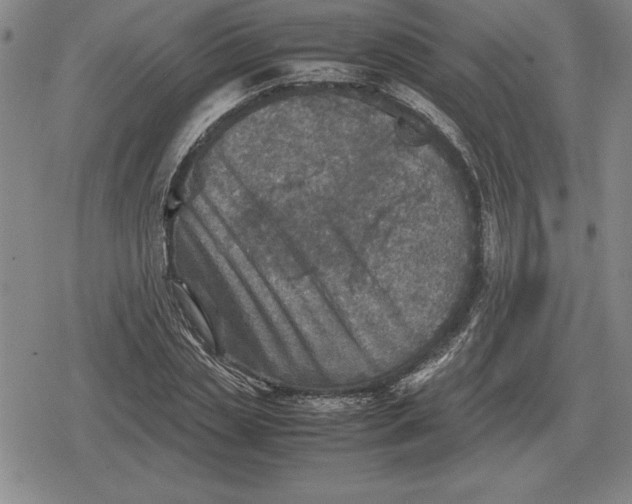 X0000079280829200612081751