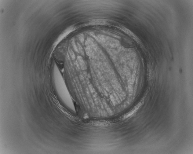 X0000079280830200612081751