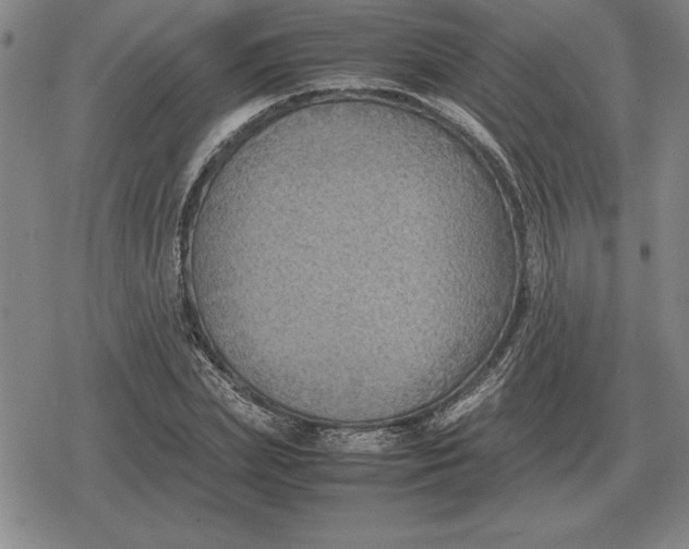 X0000079280831200612081751