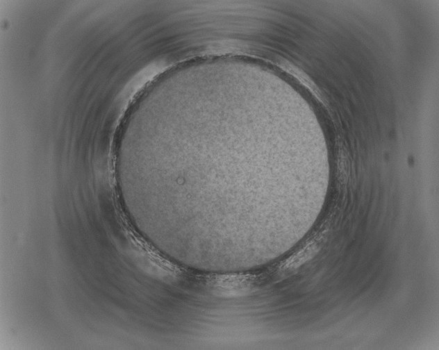 X0000079280832200612081751