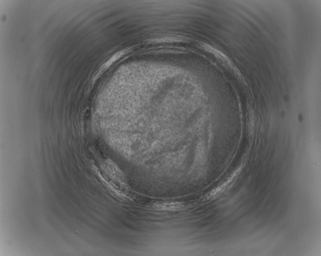 X0000079280833200612081751