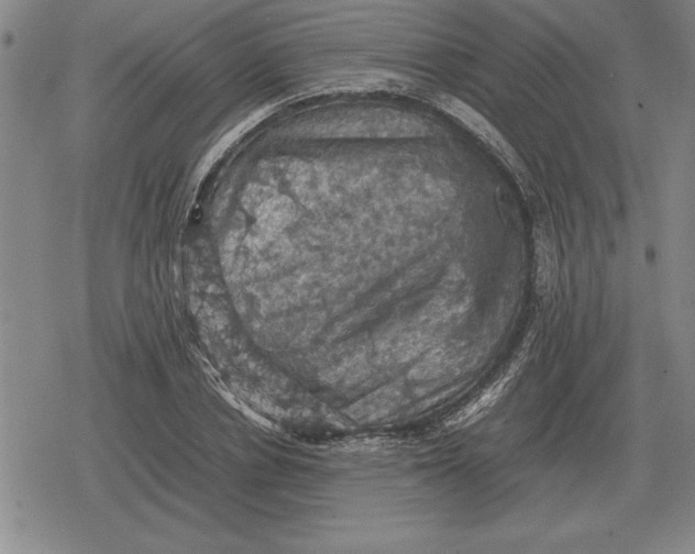 X0000079280834200612081751