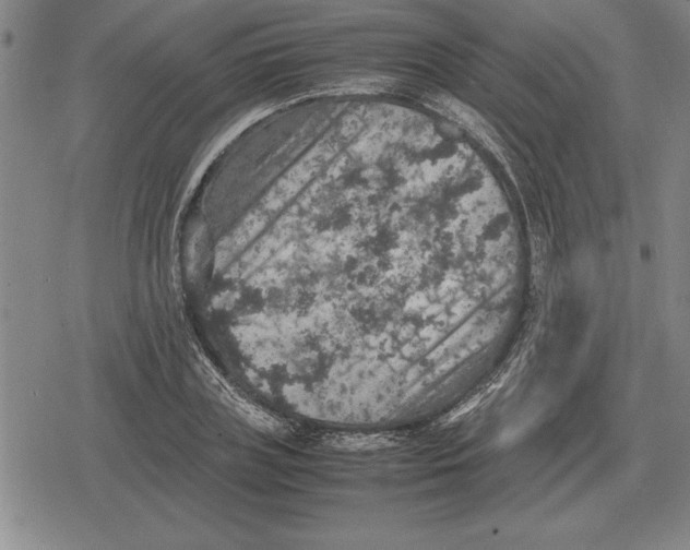 X0000079280835200612081751