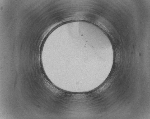 X0000079280836200612081751