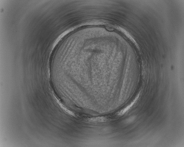 X0000079280837200612081751