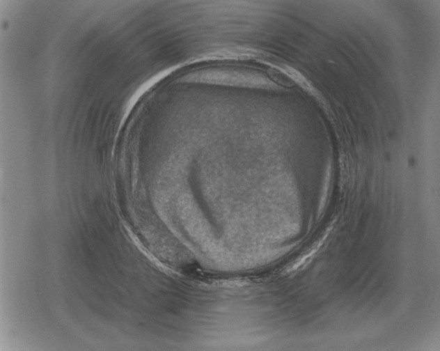 X0000079280838200612081751