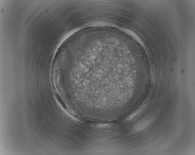 X0000079280839200612081751