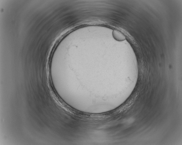 X0000079280840200612081751