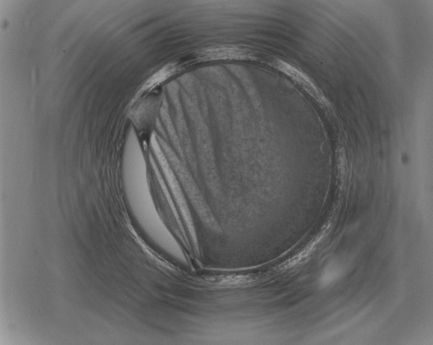 X0000079280841200612081751