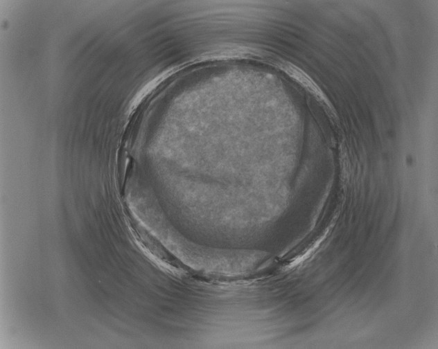 X0000079280842200612081751