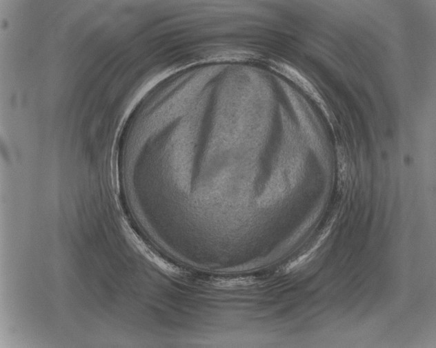 X0000079280843200612081751