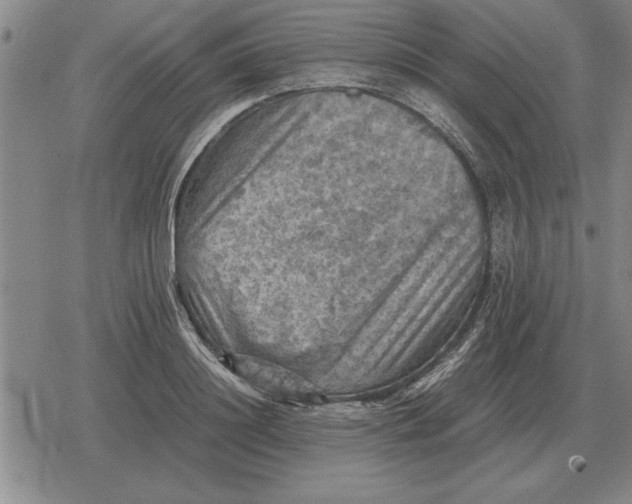 X0000079280844200612081751