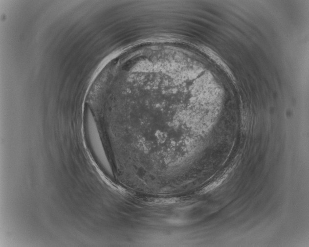 X0000079280845200612081751