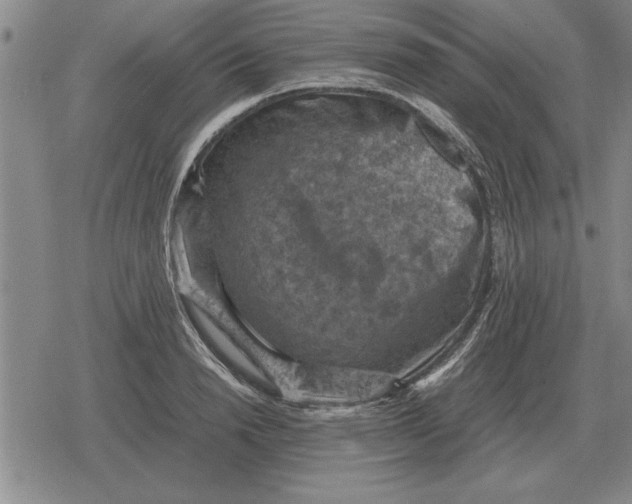 X0000079280846200612081751