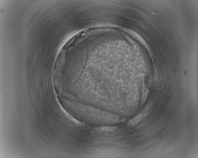 X0000079280847200612081751