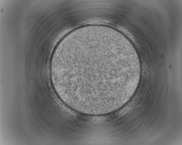 X0000079280848200612081751