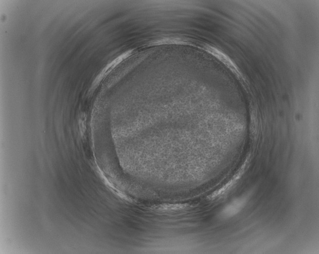 X0000079280849200612081751