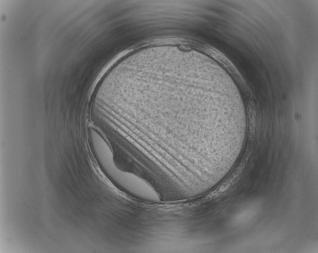 X0000079280852200612081751