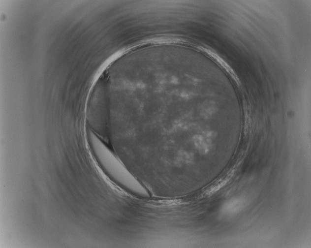 X0000079280853200612081751