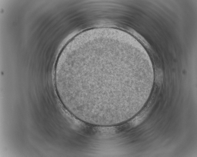 X0000079280856200612081751