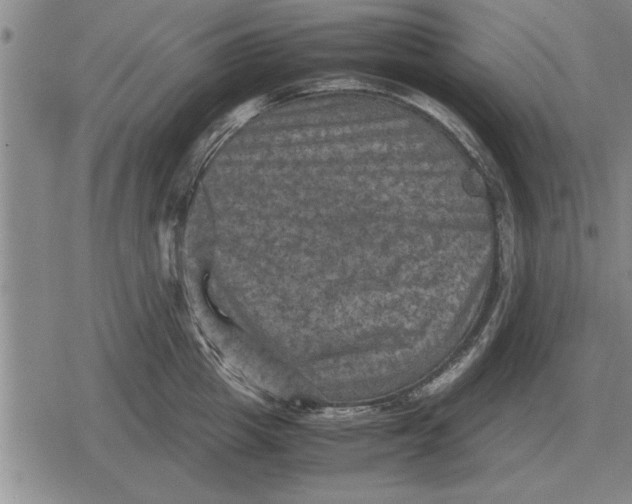 X0000079280857200612081751