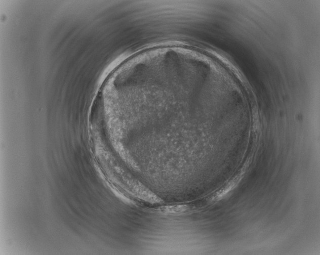 X0000079280858200612081751