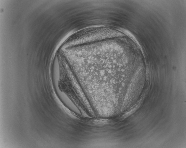 X0000079280859200612081751