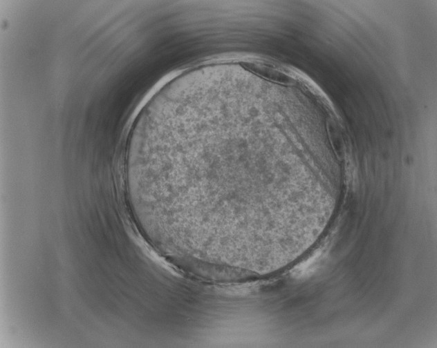 X0000079280860200612081751