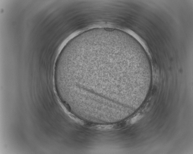 X0000079280861200612081751