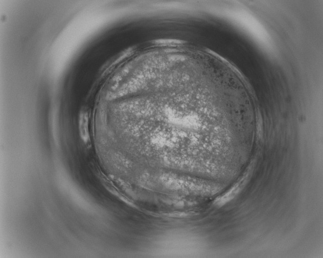 X0000079280862200612081751