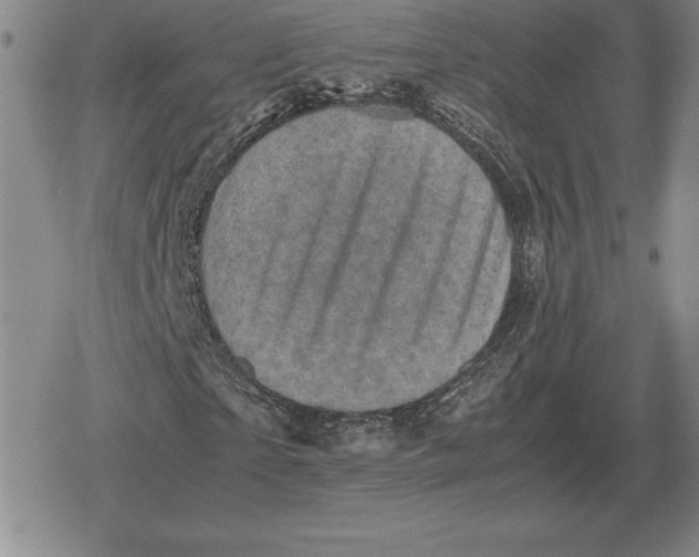 X0000079280865200612081751