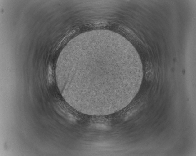 X0000079280866200612081751