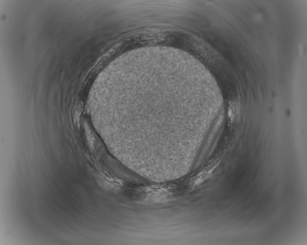 X0000079280867200612081751