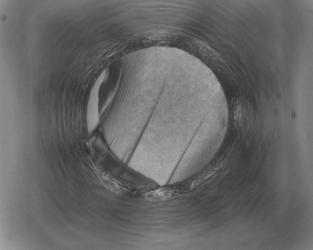 X0000079280868200612081751