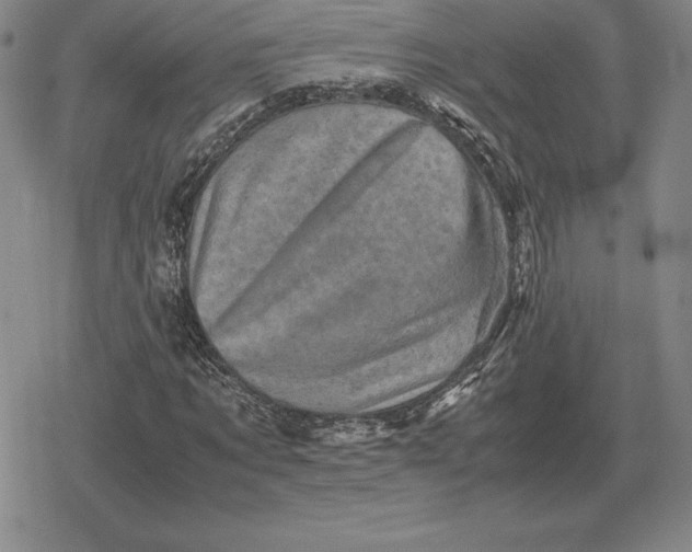 X0000079280869200612081751