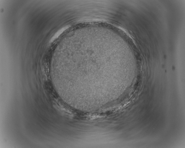 X0000079280871200612081750