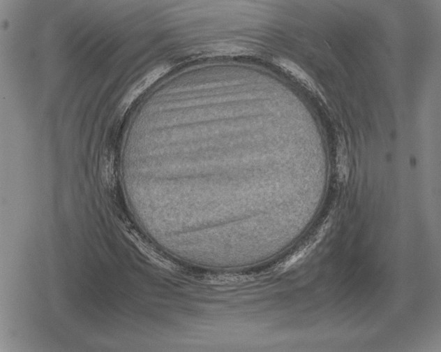 X0000079280873200612081750