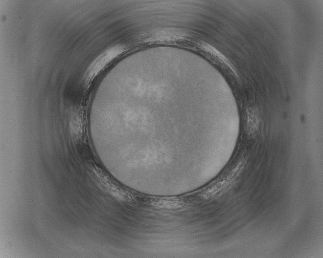 X0000079280874200612081750